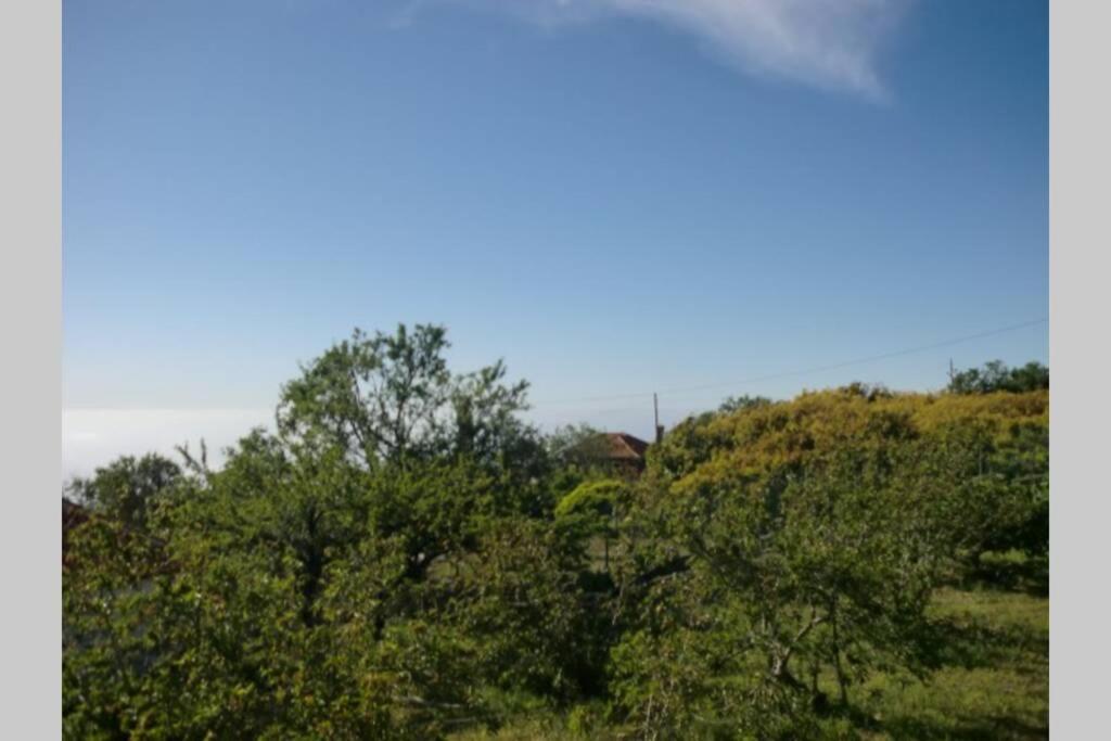 Casas Corea Puntagorda Exteriör bild